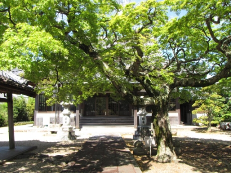 画像21
